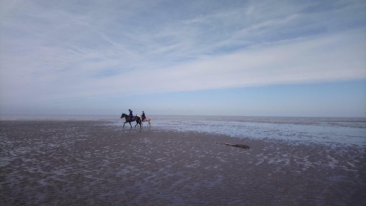 Stella Le Touquet Berck T2アパートメント エクステリア 写真